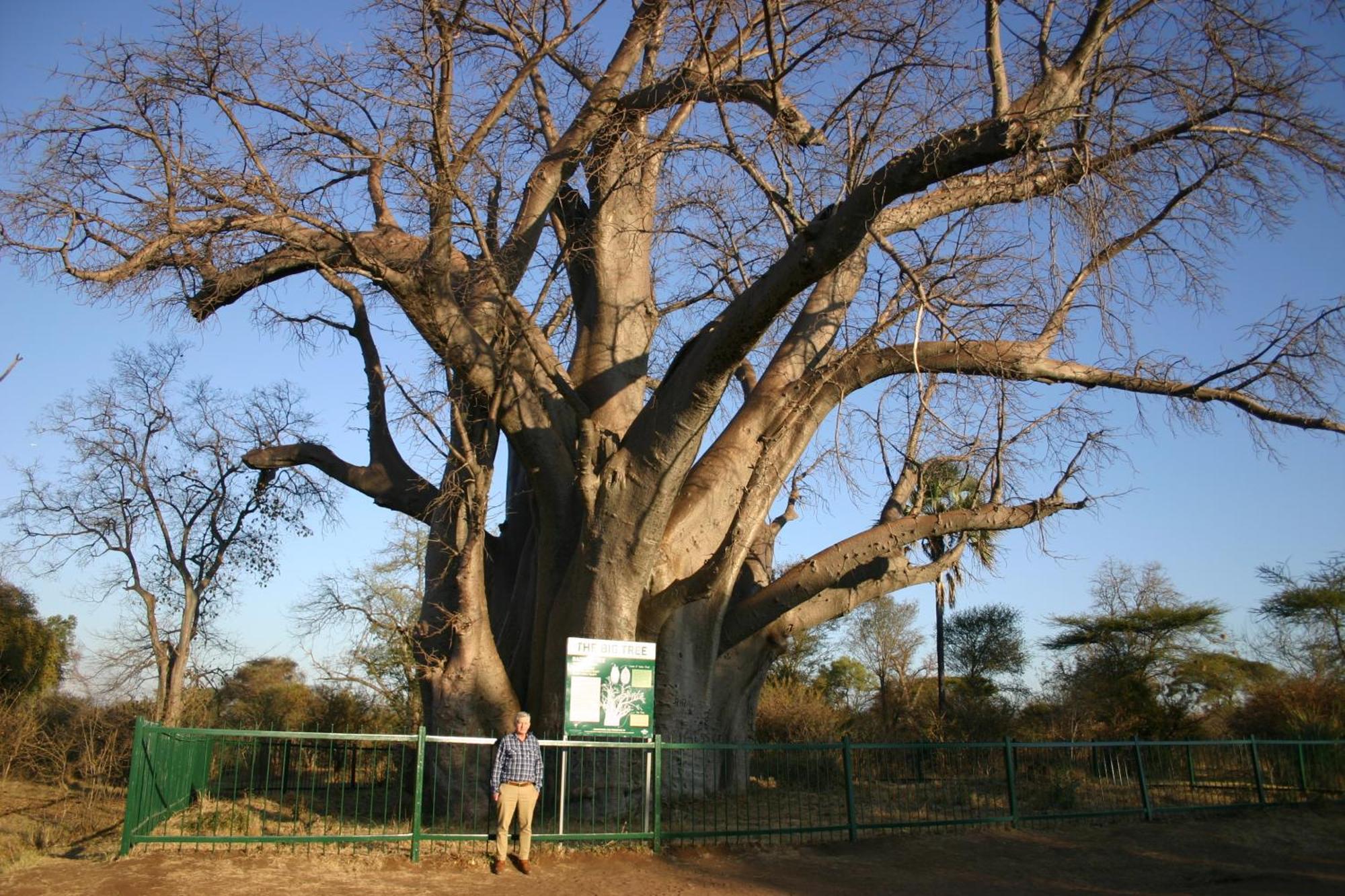 Room In Villa - Zambezi Family Lodge - Elephant Room Вікторія-Фоллс Екстер'єр фото